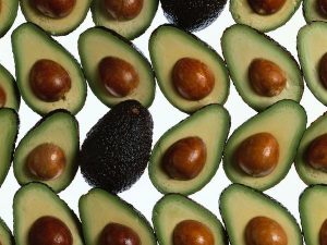 avocados